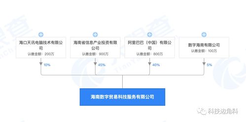 阿里巴巴入局，攜手共建海南數(shù)字貿易新篇章