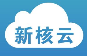 新核云完成300萬美元A輪融資，加速工廠ERP系統與互聯網服務升級